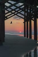 Sunrise at the beach framed by a pier with blue heron flying through photo