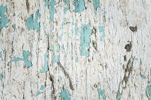 Background Old Painted Barn Wood with Teal Peeling Paint photo