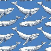 Vector seamless pattern with whales and sperm whales. Sea animals in engraving technique, hand drawn ink drawing. Blue background. Can be used for wallpaper, textile, fabric, wrapping paper.