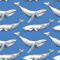 Vector seamless pattern with whales and sperm whales. Sea animals in engraving technique, hand drawn ink drawing. Blue background. Can be used for wallpaper, textile, fabric, wrapping paper.