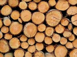 stack of firewood, close up photo