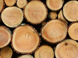 stack of firewood, close up photo