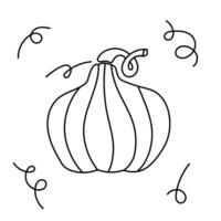 Pumpkin doodle illustration. Contour line black and white drawing on white background. vector