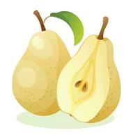 Fresh pear whole and half cut. Fruit vector illustration isolated on white background