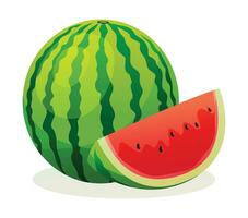 Fresh watermelon whole and sliced. Vector illustration isolated on white background