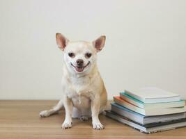 marrón chihuahua perro sentado con apilar de libros y en de madera mesa y blanco antecedentes con Copiar espacio, sonriente y mirando a cámara. foto