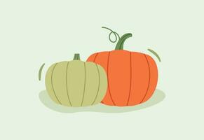 Two Pumpkins Orang and Green Squash for Decoration design and flat illustration vector