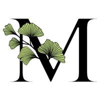 Ginkgo Biloba letter M vector