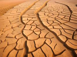 dry cracked earth in the desert photo