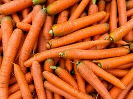 zanahorias antecedentes. Fresco vegetales. orgánico comida antecedentes foto