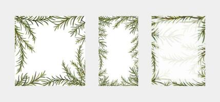 Set of border frames of hand drawn and hand painted watercolor coniferous evergreen tree branches. Square, rectangle and stories background templates for social media. vector