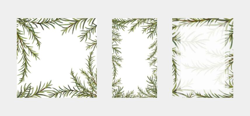 Set of border frames of hand drawn and hand painted watercolor coniferous evergreen tree branches. Square, rectangle and stories background templates for social media.