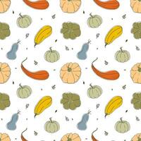 Seamless pattern with colorful pumpkins of different shapes vector