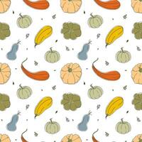 Seamless pattern with colorful pumpkins of different shapes vector