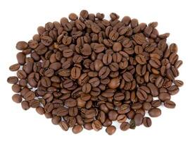 coffee beans isolated on white background photo