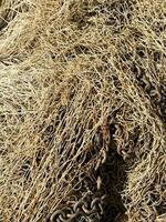 close up of dry fishing net texture. photo