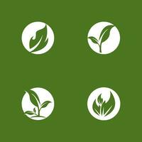 Green Leaf Nature Plant Conceptual Symbol Vector Illustration