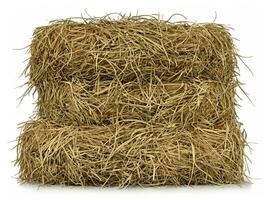 stack of hay on a white background. isolated on white. photo