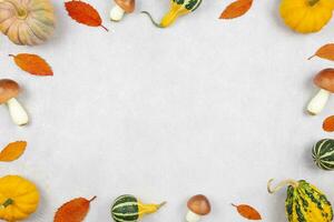 Fall flat lay with colorful pumpkins, mushrooms and fallen leaves on gray concrete background. Autumn mockup border with decoration. Top view. Copy space. photo