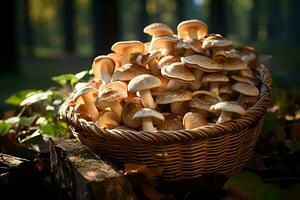 Freshly picked mushrooms in a basket on the autumn, fall forest background. photo