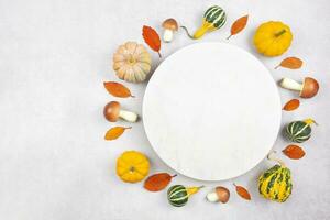 Fall round flat lay mockup with colorful pumpkins, mushrooms and fallen leaves on gray concrete background. Marble board with autumn decoration. Top view. Copy space. photo