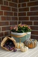 Autumn still life with seasonal fruits, vegetables, flowers and colorful pumpkins and ripe plums. Selective focus. photo