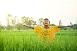 asiático joven chico sonrisa linda y encantador elevado ambos su brazos y su cara sintió renovado, joven asiático chico el amarillo camisa en el antecedentes de el arroz campos y el claro cielo con el suave amanecer.. foto