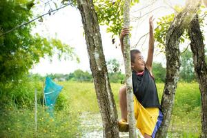 Boy having fun climbing tree feeling excited, Asian young boy with tree,child hugging tree,concept education and environment, love world and natural, natural and sky sunset background,relax. photo