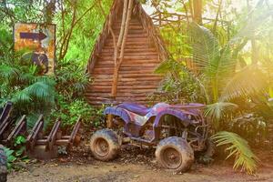 motocicleta Canal de televisión británico antiguo y acampar en el bosque con un bosque antecedentes y advertencia señales a reloj fuera para elefantes en el luz de sol. foto