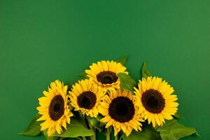 Bouquet of sunflowers on dark green background. Valentine's, womens, mothers day, easter, birthday or wedding, spring holiday flat lay. Top view. Copy space. photo