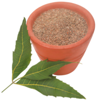 Medicinal neem leaves with powder png