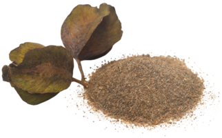 Ayurvedic arjun fruit with ground powder png