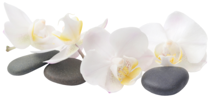 Spa stone with orchid flower png