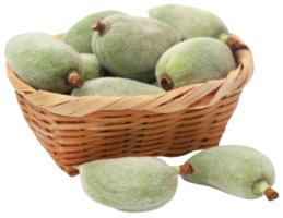 Green almond in a basket png