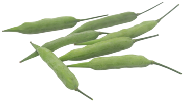 verde mostaza frijoles png