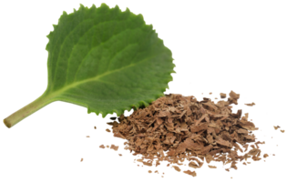 oregano bladeren geïsoleerd png