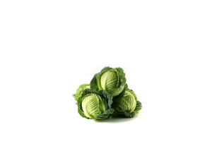 Cabbage isolated on white background photo