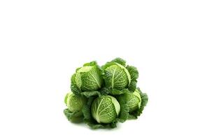 Cabbage isolated on white background photo