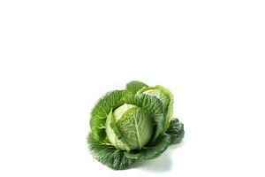 Cabbage isolated on white background photo