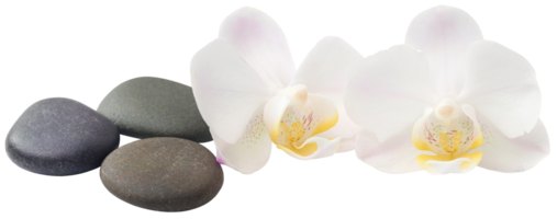 Spa stone with orchid flower png