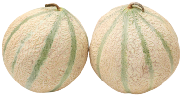 Cantaloup-Melone oder Rockmelon png