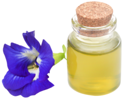 Clitoria ternatea with extract png