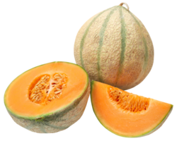 Cantaloup-Melone oder Rockmelon png