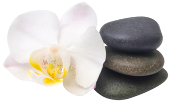 Spa stone with orchid flower png