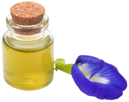 Clitoria ternatea with extract png