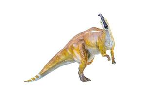 Parasaurolophus  dinosaur isolated background photo