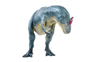 Allosaurus   dinosaur isolated background photo