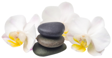 Spa stone with orchid flower png