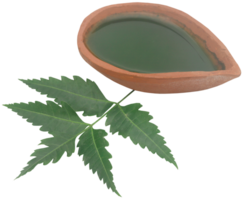 Medicinal neem leaves with extract png