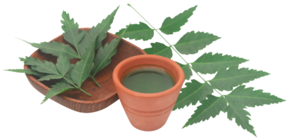 Medicinal neem leaves with extract png